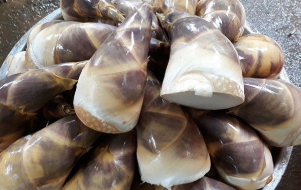 全新的『FUN心吃貨』會為大家尋找更多在地食材、小農作物，透過網路讓大家可以買到！